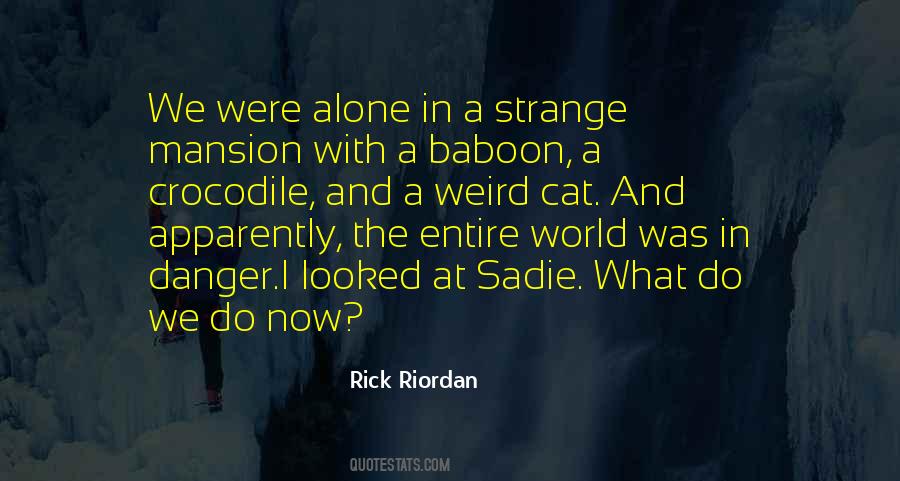 Weird Strange Sayings #1769507
