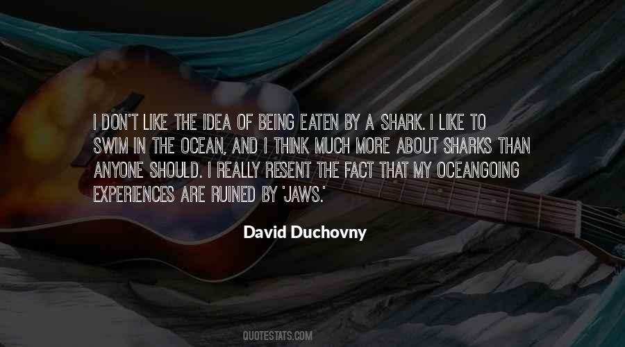 David Duchovny Sayings #965233