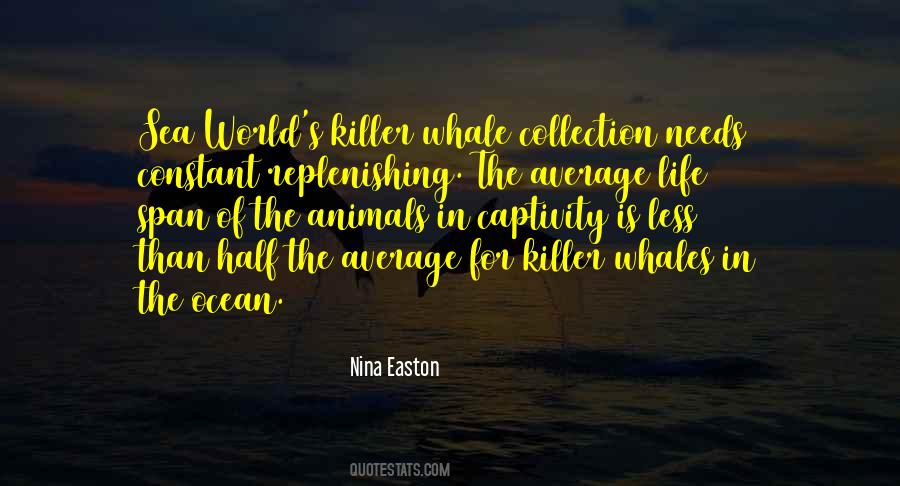 Killer Whale Sayings #1207060