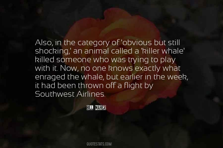 Killer Whale Sayings #1267723