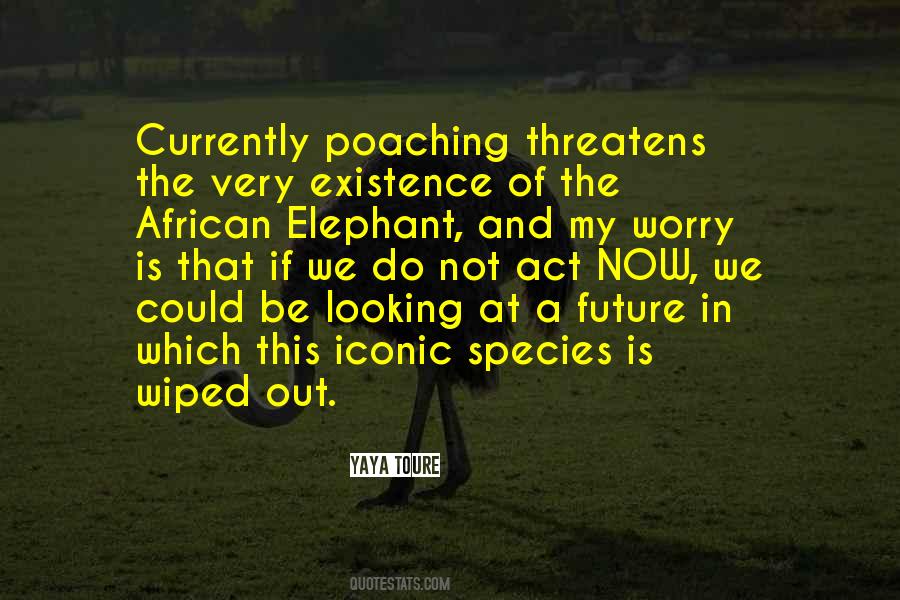 African Elephant Sayings #1364136
