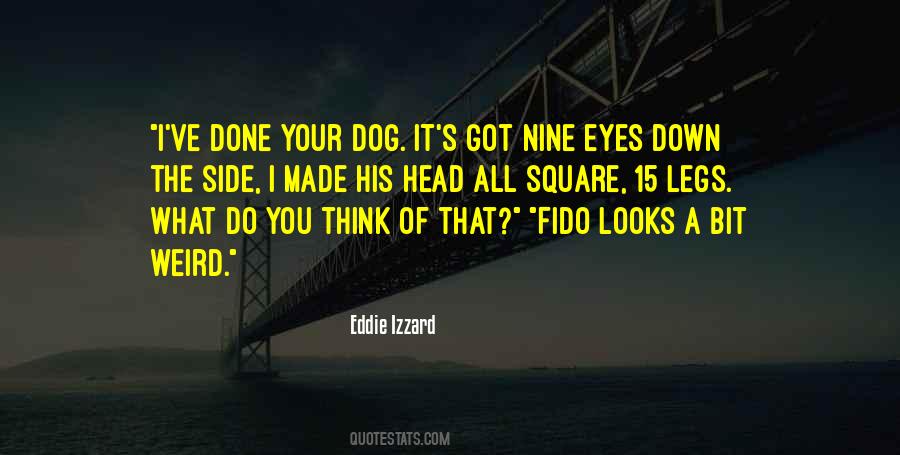 Funny Eye Sayings #10742