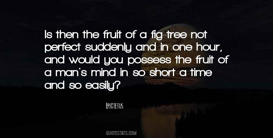 Fig Tree Sayings #13307