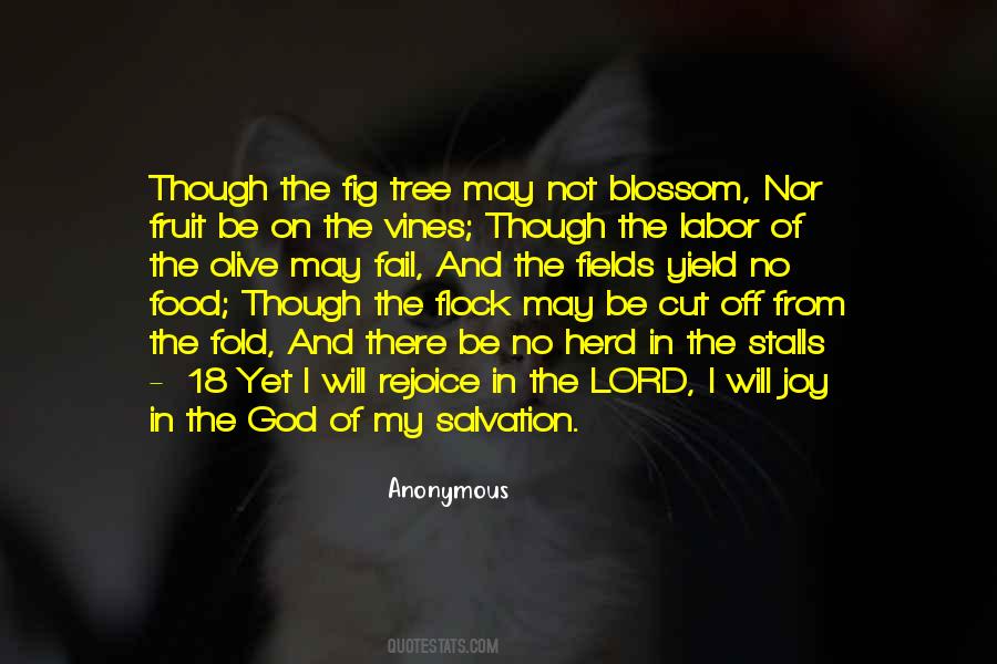 Fig Tree Sayings #393502