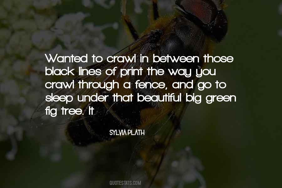 Fig Tree Sayings #910553
