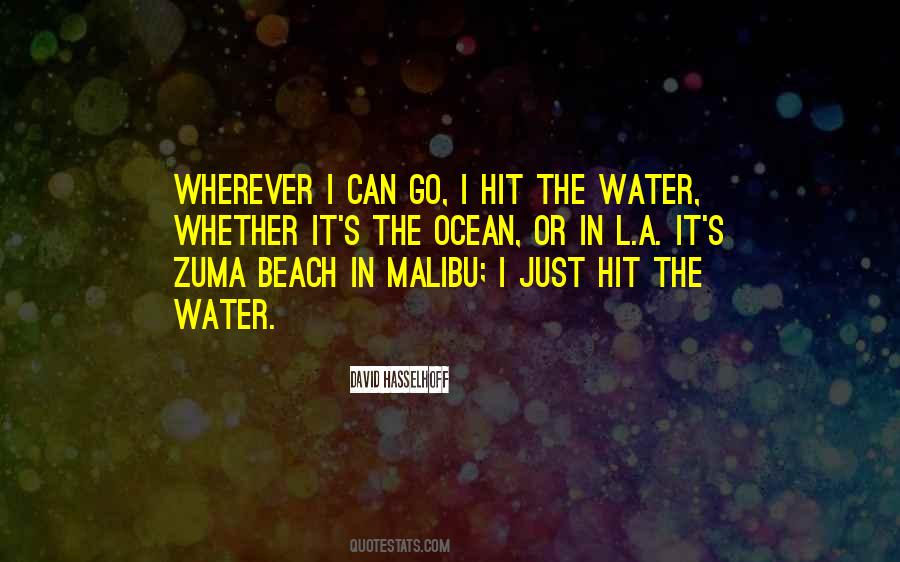Quotes About Zuma #955599
