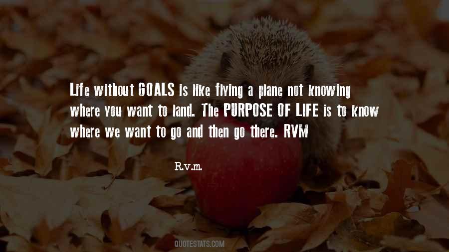 Plane Flying Sayings #1769330