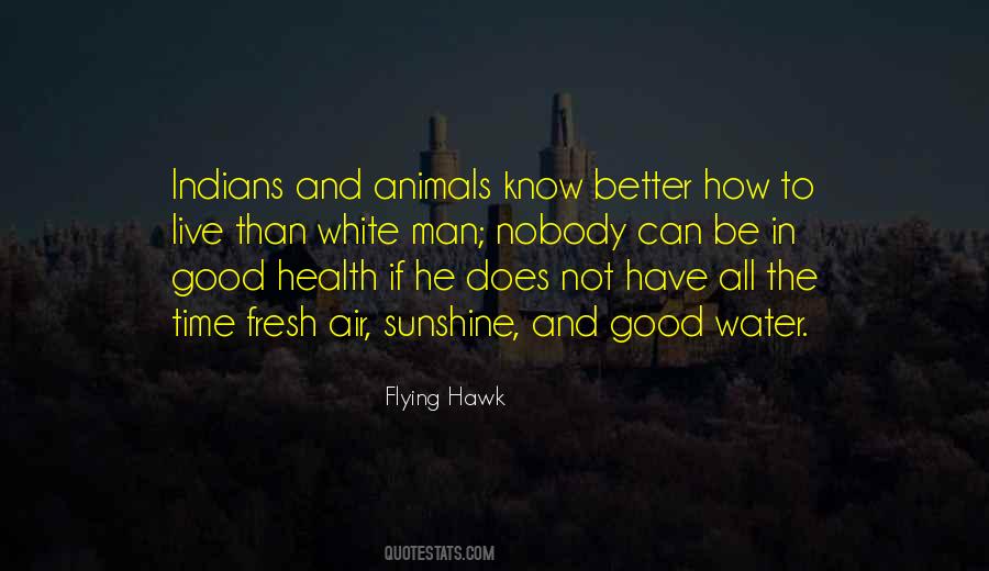 Good Flying Sayings #1329447