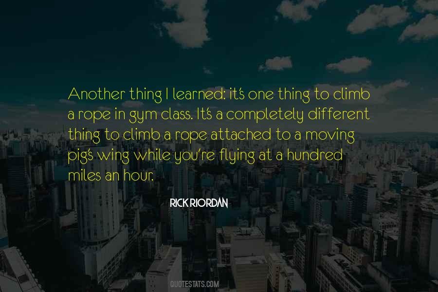 Flying Pig Sayings #47259