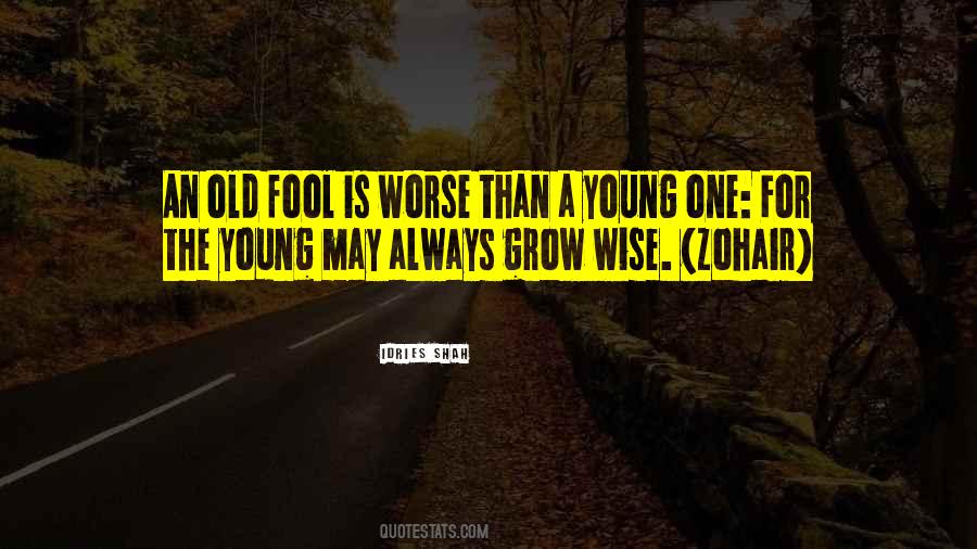 Old Fool Sayings #1693219