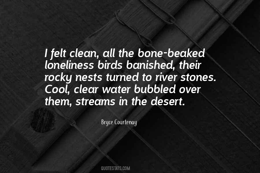 Quotes About Stones #288