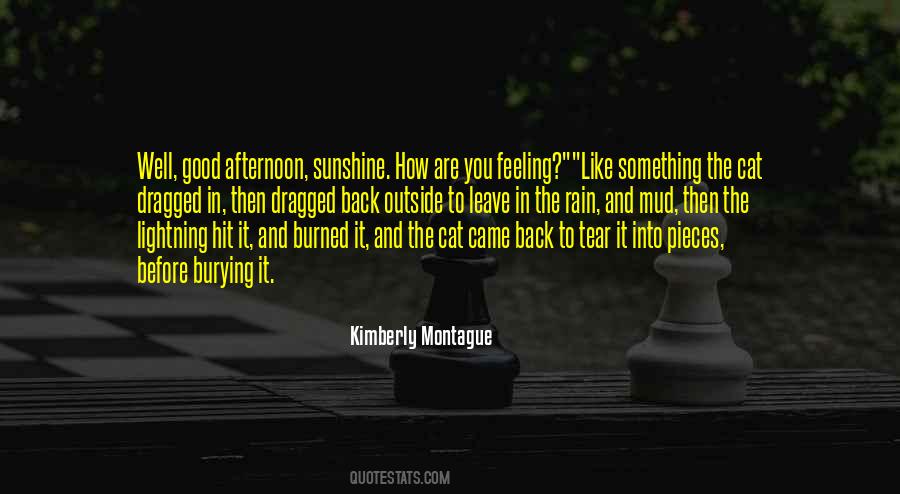 Quotes About Lightning And Love #1748713