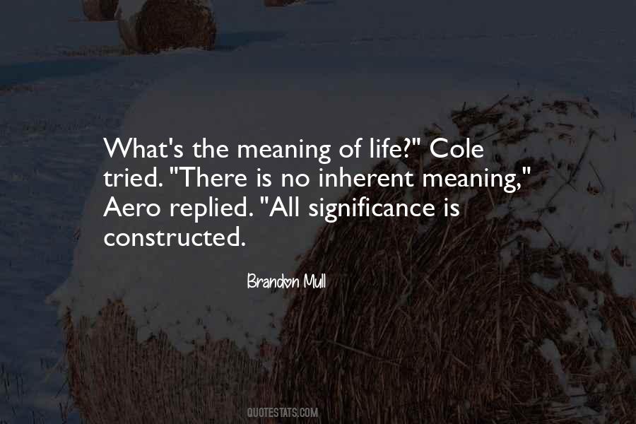 Quotes About Significance Of Life #1247876