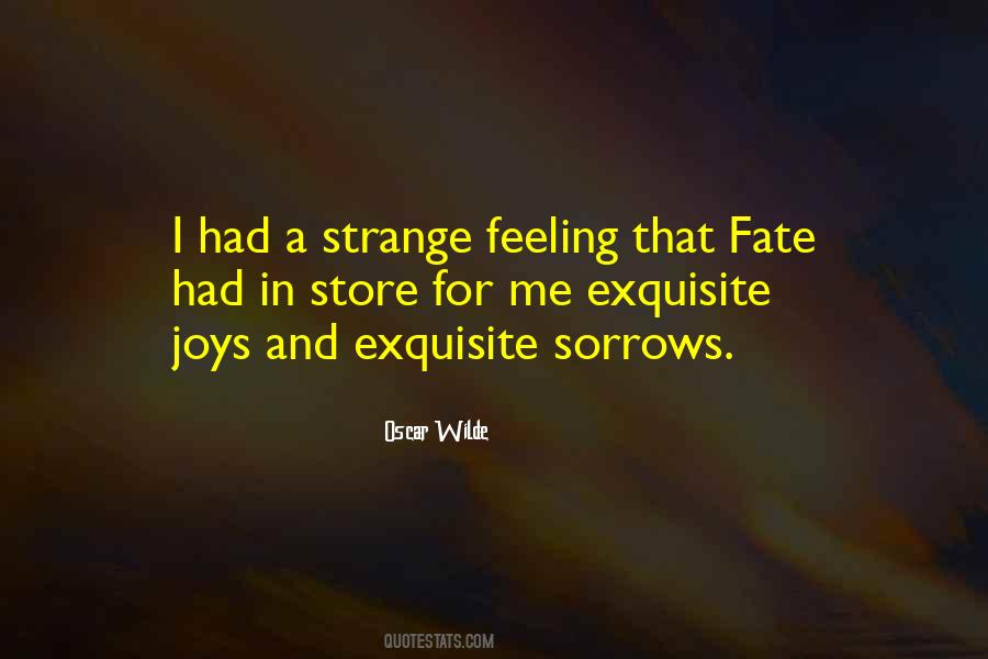 Quotes About Joys And Sorrows #1805167