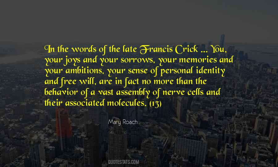 Quotes About Joys And Sorrows #642303