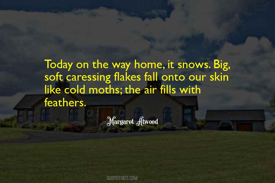 Quotes About Flakes #96694