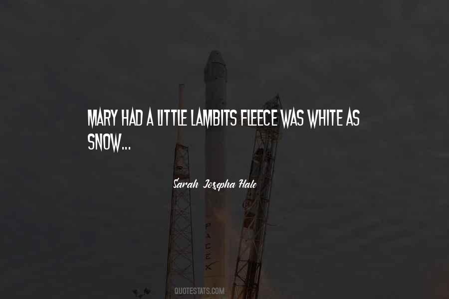Little Lamb Sayings #733561