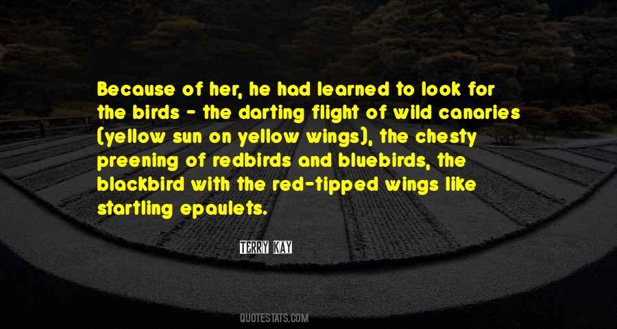 Quotes About Red Birds #1860732