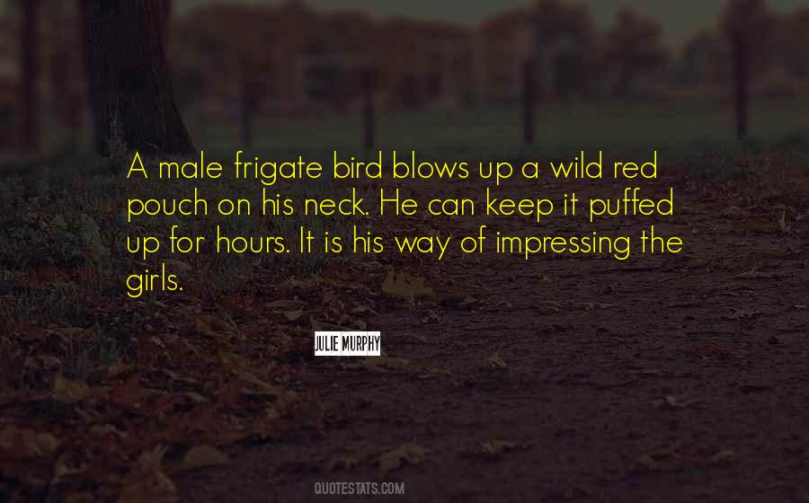 Quotes About Red Birds #209534