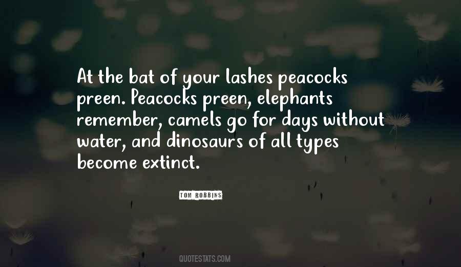 Quotes About Peacocks #88247