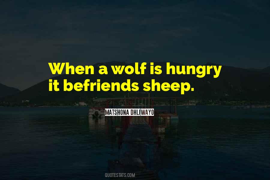 Wise Wolf Sayings #984619