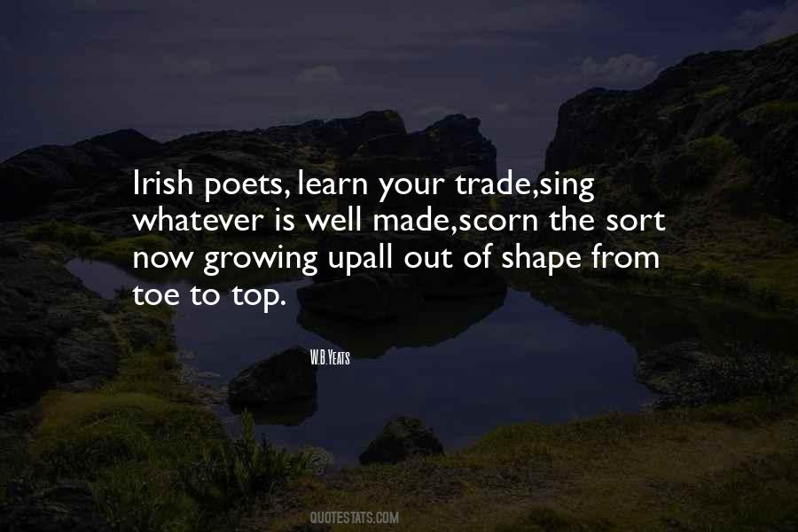 Learn Irish Sayings #1093396