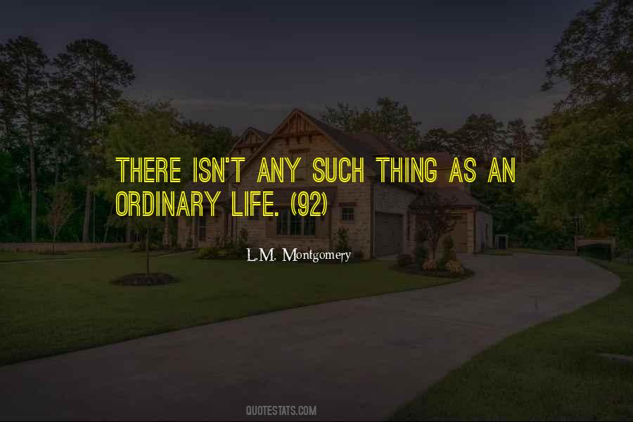 Quotes About An Extraordinary Life #920336