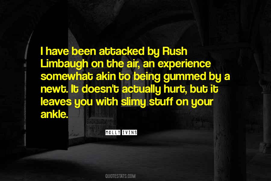 Rush Limbaugh Sayings #1043108