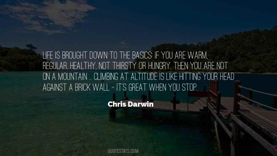 Climbing Mountain Sayings #710126