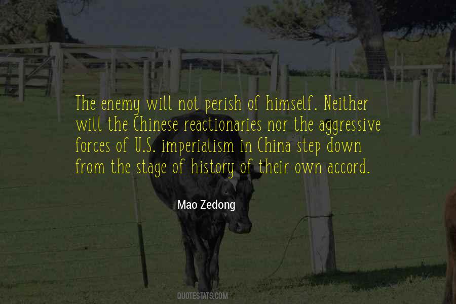 Chinese Mao Sayings #1610090