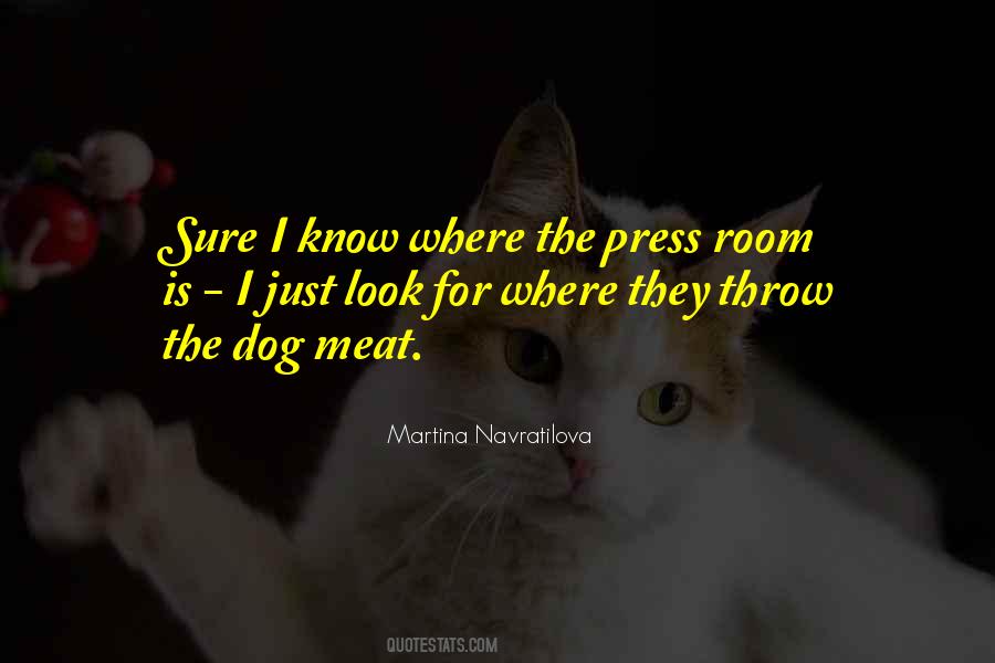Martina Navratilova Sayings #685134
