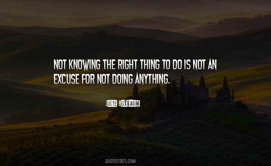 Quotes About Not Doing Anything Right #366698