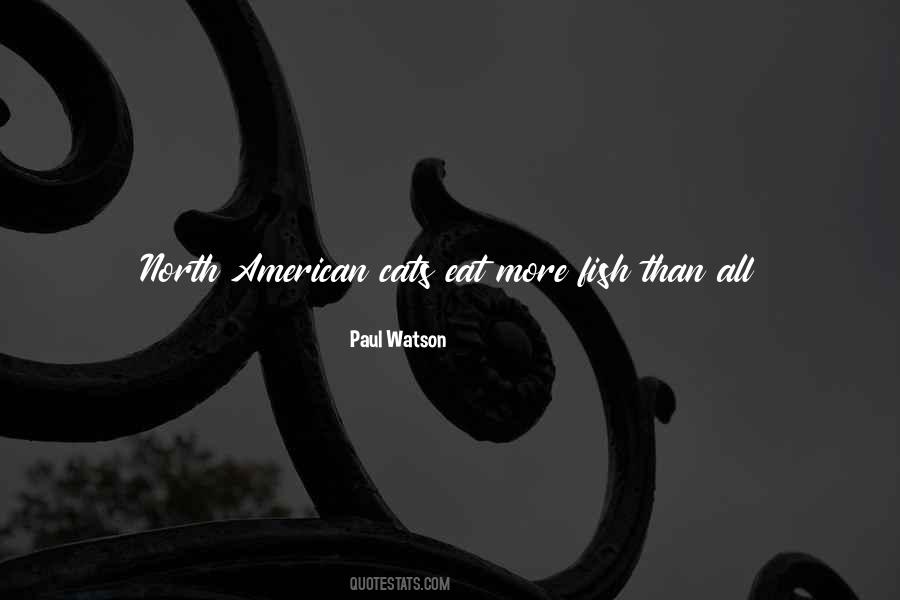 North American Sayings #1581175