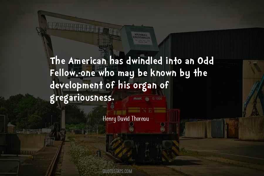Odd American Sayings #1373130