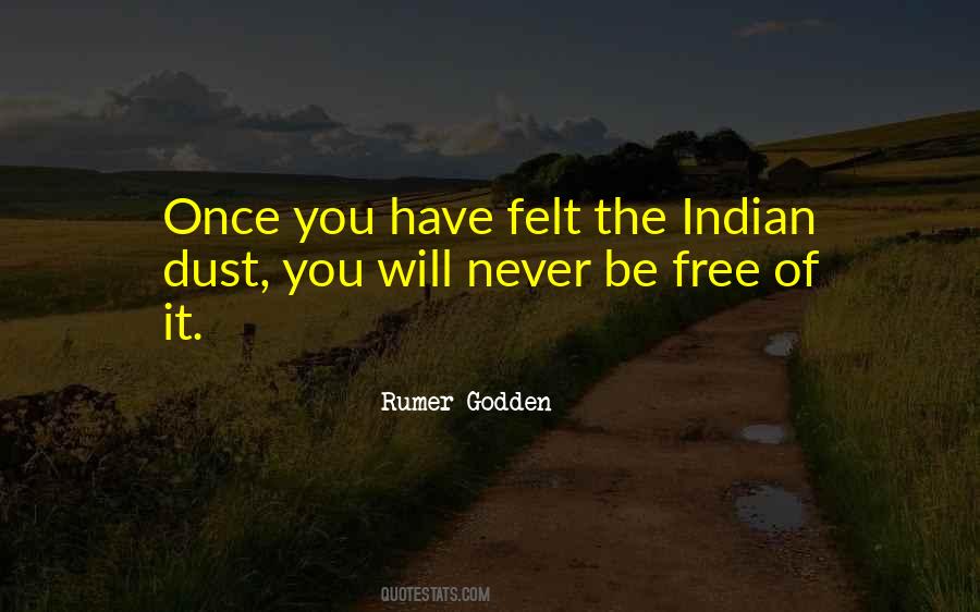 Once You Go Indian Sayings #1838457