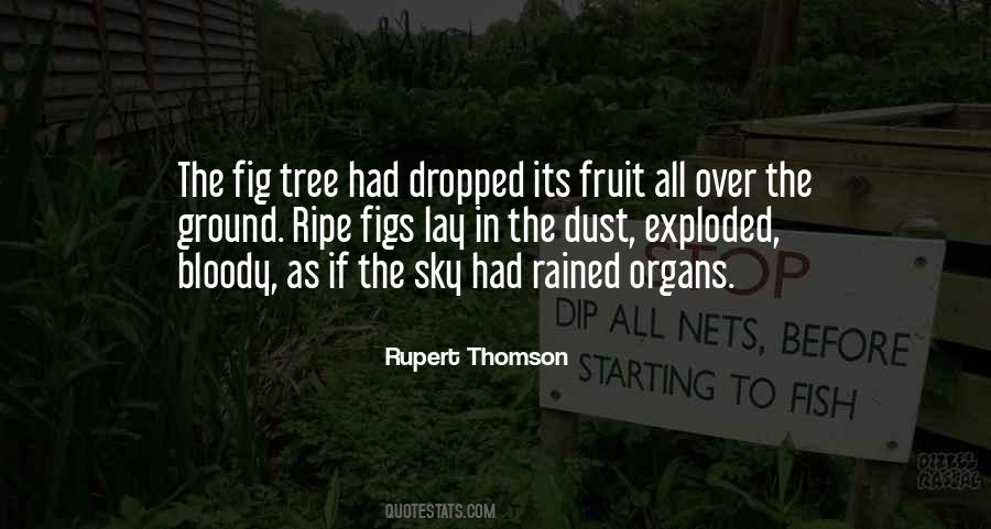Quotes About Ripe Fruit #93171