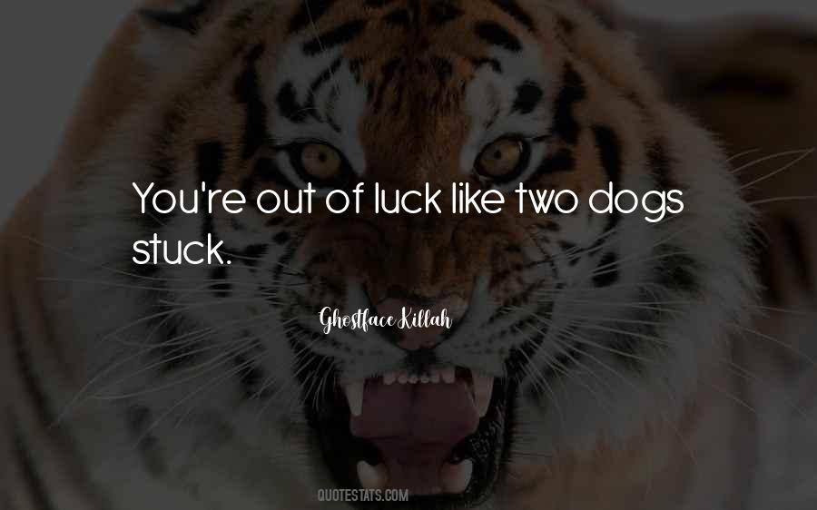 Out Of Luck Sayings #254015