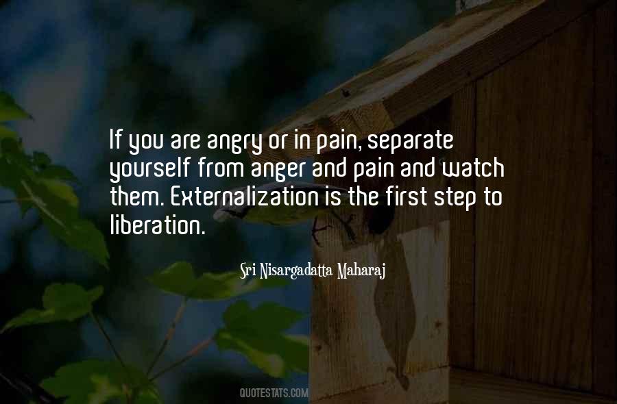 Quotes About Pain And Anger #146704