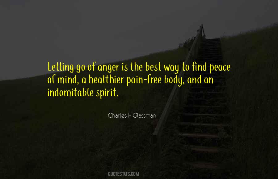 Quotes About Pain And Anger #72167