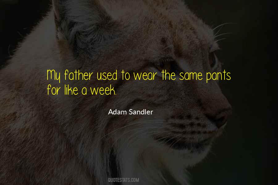 Wear The Pants Sayings #1202799