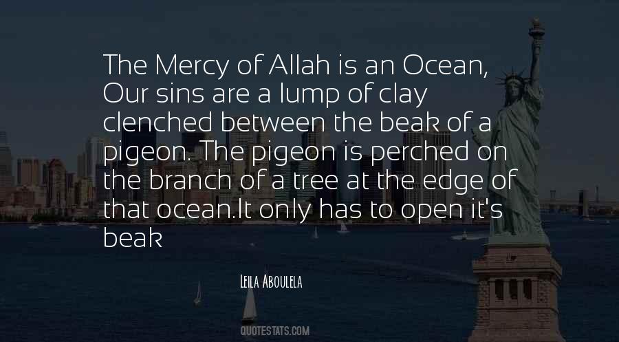 Quotes About Allah's Mercy #544650