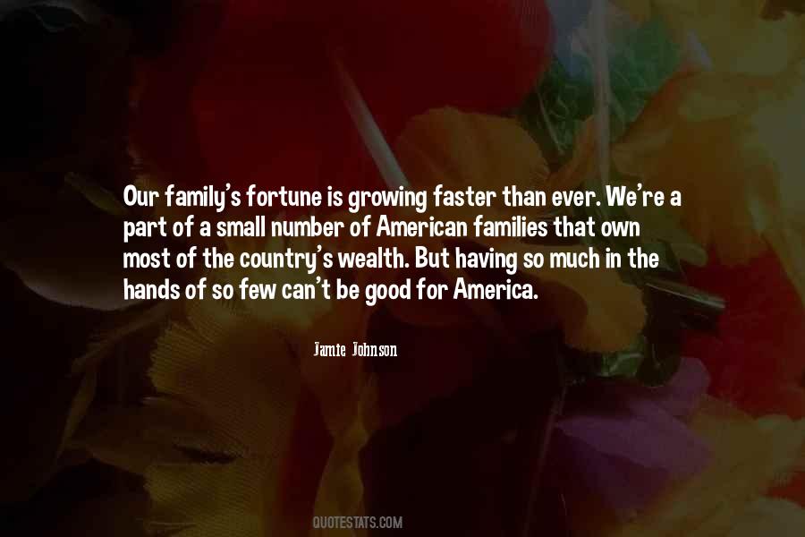 Quotes About Small Families #212511