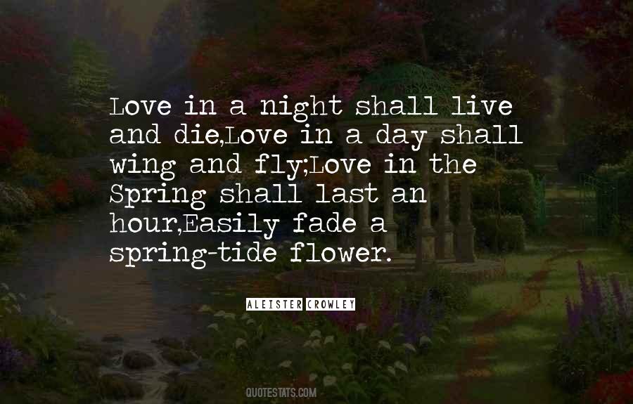 Quotes About Last Night Love #1475943