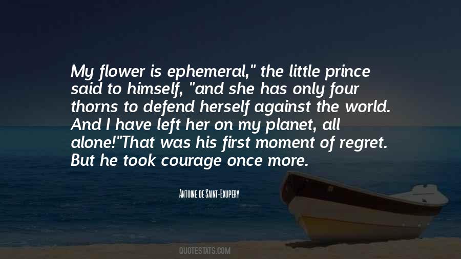 Little Prince Sayings #848610