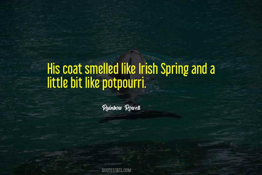 Irish Rainbow Sayings #1001664