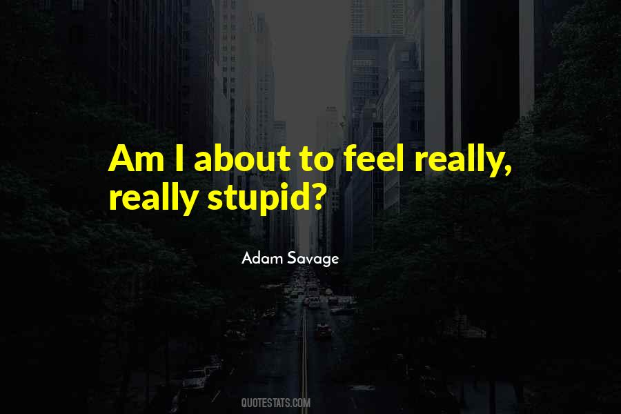 Really Stupid Sayings #840197