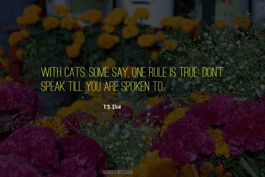 Cats Rule Sayings #1099794