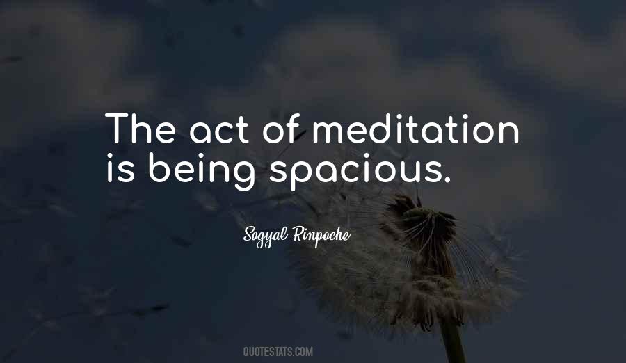 Sogyal Rinpoche Sayings #1117760