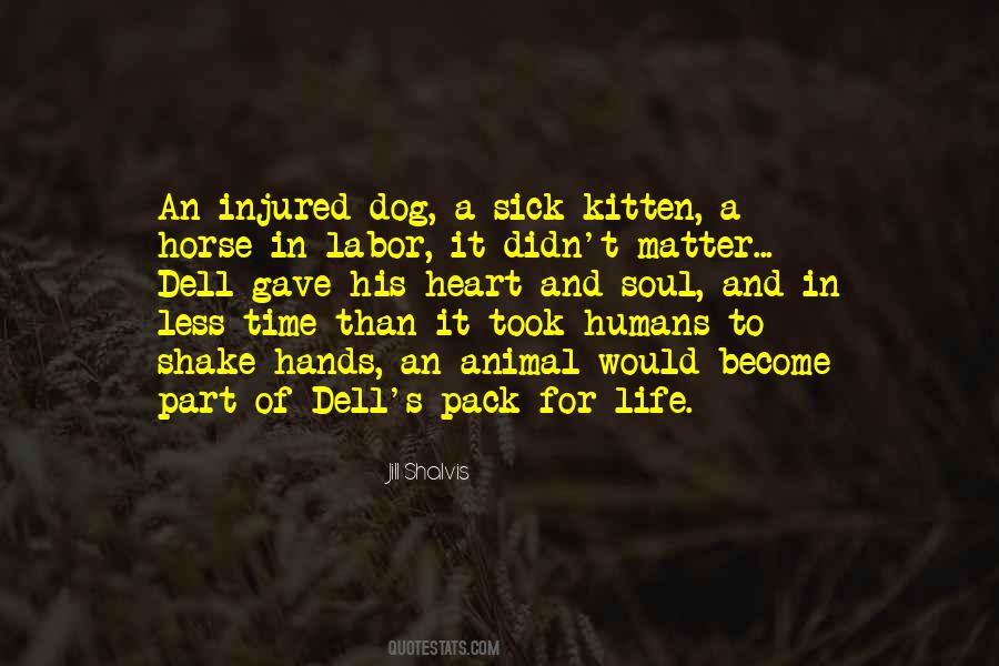 Quotes About Sick Dog #180213