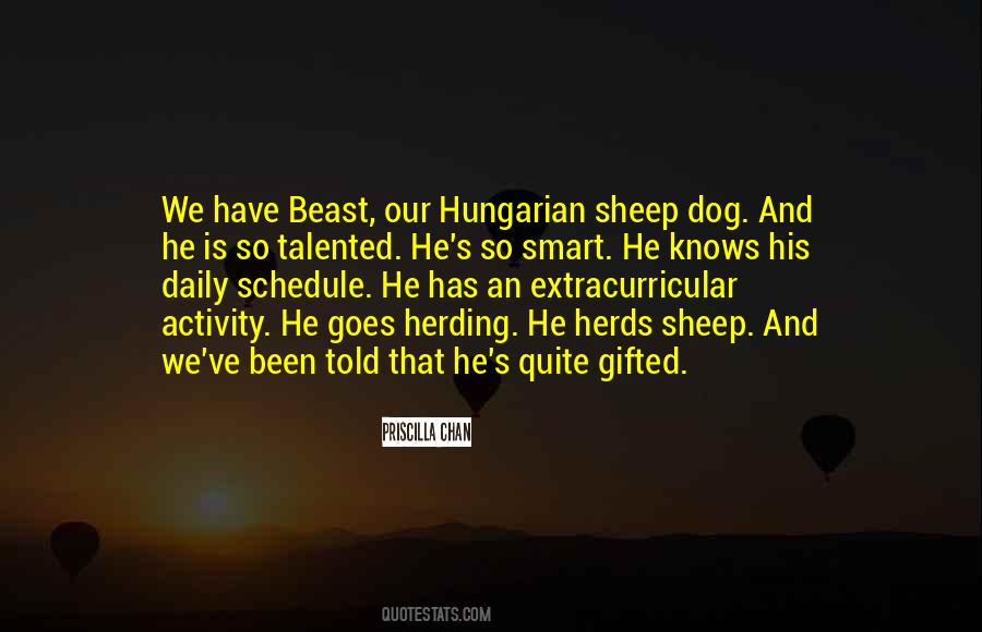 Sheep Dog Sayings #968126